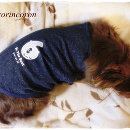 パーカー/トレーナー