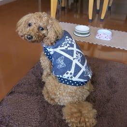 パーカー/トレーナー