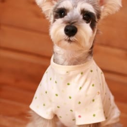 ダウンジャケット