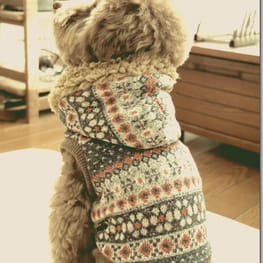 パンツ/サロペット