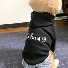 バックオープンベスト