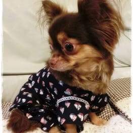 トレーナー・3Wayパーカー