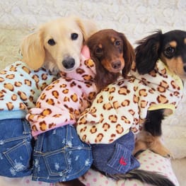 パーカー/トレーナー