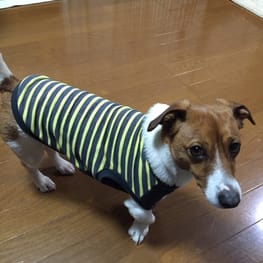 ベーシックタンクトップ&Tシャツ