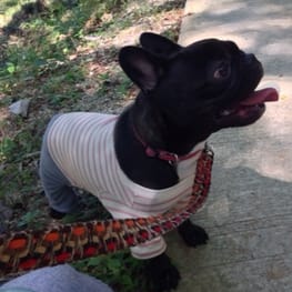 ダウンジャケット