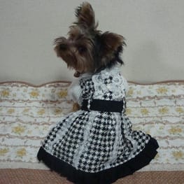 パンツ/サロペット