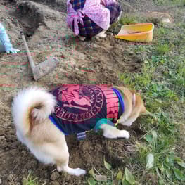 ちゃんちゃんこ