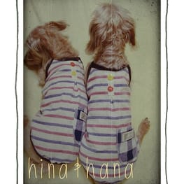 パンツ/サロペット