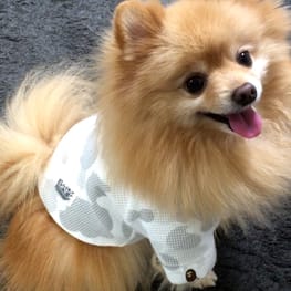 ベーシックラグランTシャツ