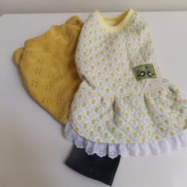 ベーシックラグランTシャツ