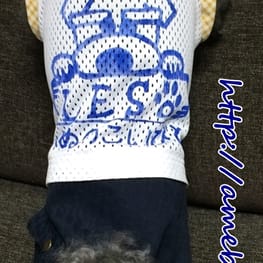 ベーシックタンクトップ&Tシャツ