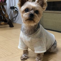 ベーシックラグランTシャツ