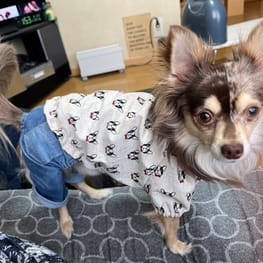 バッシーさんの作品