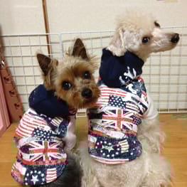 パーカー/トレーナー