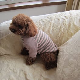 リボンワンピース