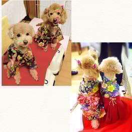 ダウンジャケット