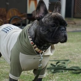 ダウンジャケット