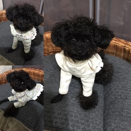 ベーシックラグランTシャツ