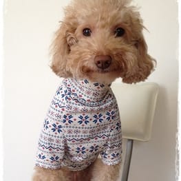 ショールカラーカーディガン