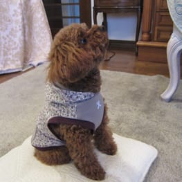 リボンワンピース