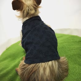 バルーンブラウス