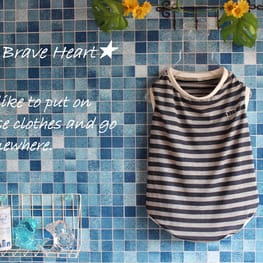 ダウンジャケット