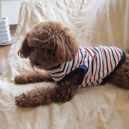 ラグランタンク・ラグランワンピ