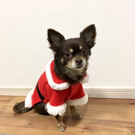 ゆずさんの作品