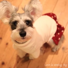 ダウンジャケット