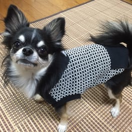 ベーシックタンクトップ&Tシャツ