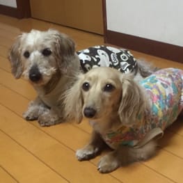 ベーシックタンクトップ&Tシャツ