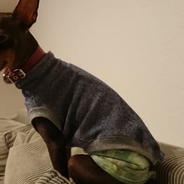 ダウンジャケット