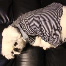 スカート/サロペット