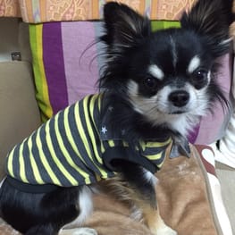 ベーシックタンクトップ&Tシャツ