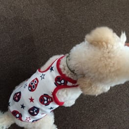 ベーシックタンクトップ&Tシャツ