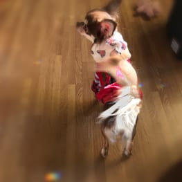 さちさんの作品