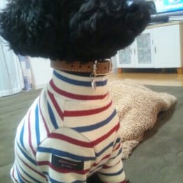 パンツ/サロペット