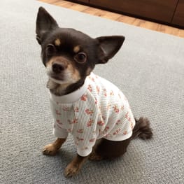 レーサーバック・バッククロスタンク