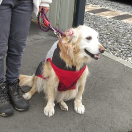 トレーナー・3Wayパーカー