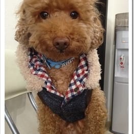 パーカー/トレーナー