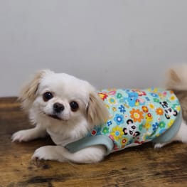 バルーンブラウス