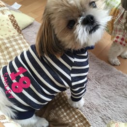 ラッフルワンピース