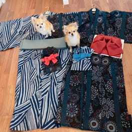 anirokitchenさんの作品