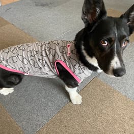 ベーシックラグランTシャツ