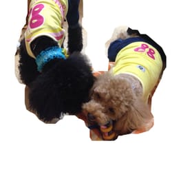 サニタリー・マナーパンツ