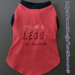 スカート/サロペット