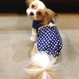 ダウンジャケット