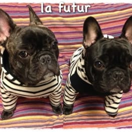 パーカー/トレーナー