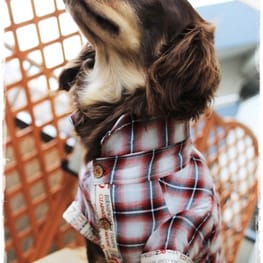 ベーシックタンクトップ&Tシャツ