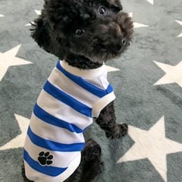 オーバーレインコート